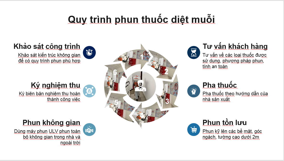 quy tinh phun thuoc diet muoi