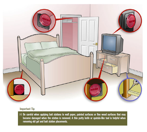 Cách diệt gián trong phòng ngủ - các khu vực có nhiều gián nhất trong phòng ngủ