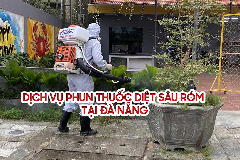 Dịch vụ phun thuốc diệt sâu róm tại Đà Nẵng