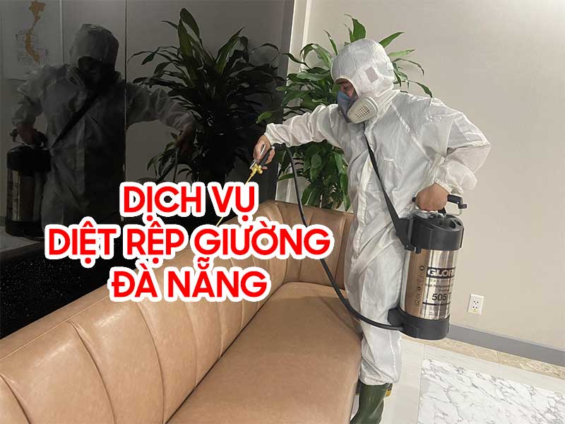 Dịch vụ diệt rệp giường tại Đà Nẵng